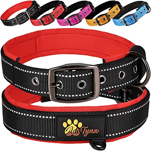 ADITYNA Hundehalsband für kleine Hunde – gepolstert, weiches Neopren, reflektierend, strapazierfähig – Schwarz, kleines Halsband ADITYNA Hundehalsband für kleine Hunde – gepolstert, weiches Neopren, reflektierend, strapazierfähig – Schwarz, kleines Halsband von ADITYNA