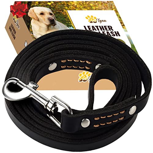 ADITYNA Leather Dog Leash 6 Foot - Soft and Strong Leather Leash for Small and Medium Dog (6 ft x 5/8", Black) von ADITYNA