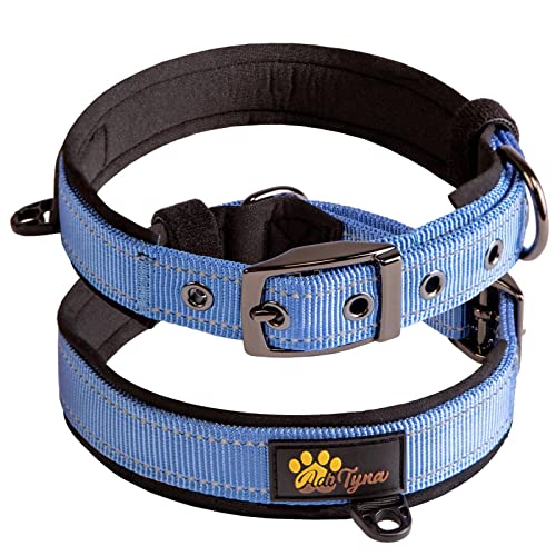 ADITYNA Robustes, reflektierendes Hundehalsband – dickes blaues Hundehalsband für große Hunde – ultra-bequemes, weiches Neopren gepolstert – perfektes Hundehalsband für Training, Spazierengehen oder Jagd von ADITYNA