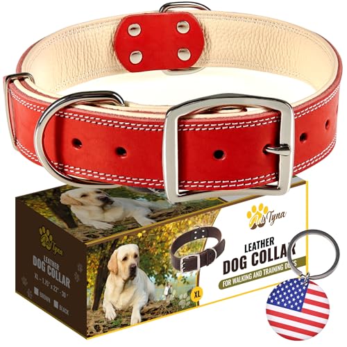ADITYNA Robustes Hundehalsband aus echtem Leder für extra große Hunde – rotes XL-Halsband – weiches und starkes dickes Hundehalsband mit doppelter Metallschnalle von ADITYNA