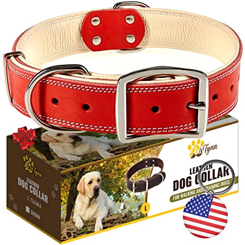ADITYNA Robustes Hundehalsband aus echtem Leder für große Hunde – Rot großes Hundehalsband – weich und stark, dickes Hundehalsband mit doppelter Metallschnalle von ADITYNA