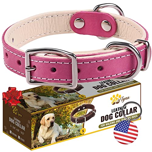 ADITYNA Robustes Hundehalsband aus echtem Leder für kleine Hunde – rosa kleines Hundehalsband – weich und stark, dickes Hundehalsband mit doppelter Metallschnalle von ADITYNA
