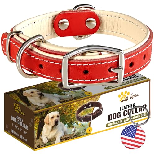 ADITYNA Robustes Hundehalsband aus echtem Leder für kleine Hunde – rotes kleines Hundehalsband – weiches und starkes dickes Hundehalsband mit doppelter Metallschnalle von ADITYNA