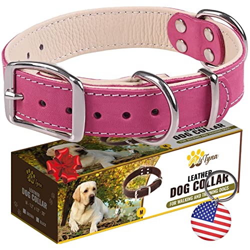ADITYNA Robustes Hundehalsband aus echtem Leder für mittelgroße Hunde – rosa mittelgroße Hundehalsband – weich und stark, dickes Hundehalsband mit doppelter Metallschnalle von ADITYNA