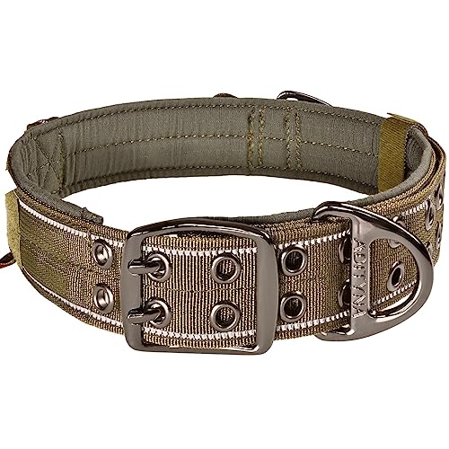 ADITYNA Robustes Hundehalsband mit Griff – reflektierendes grünes Hundehalsband für extra große Hunde – breit, weich gepolstert – perfektes großes Hundehalsband für Training, Spazierengehen oder Jagd ADITYNA Robustes Hundehalsband mit Griff – reflektierendes grünes Hundehalsband für extra große Hunde – breit, weich gepolstert – perfektes großes Hundehalsband für Training, Spazierengehen oder Jagd von ADITYNA