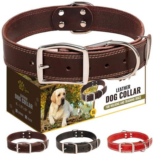 ADITYNA Robustes Leder-Hundehalsband für extra große Hunde – Hundehalsband Geschenk für Hundeliebhaber – Weiches und starkes großes Hundehalsband (XL, braun) von ADITYNA