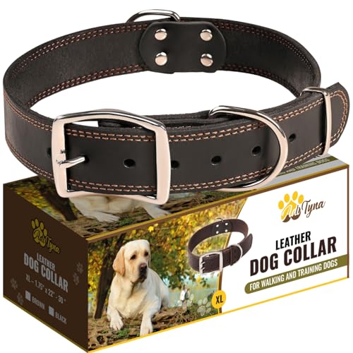 ADITYNA Robustes Leder-Hundehalsband für extra große Hunde – Hundehalsband Geschenk für Hundeliebhaber – weiches und starkes großes Hundehalsband (XL, schwarz) von ADITYNA
