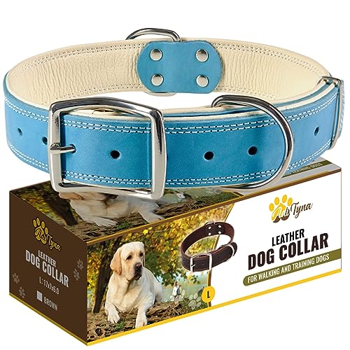 ADITYNA - Strapazierfähiges Premium-Leder-Hundehalsband für große Hunde – gepolstert mit weichem Echtleder für ein gemütliches Gefühl von ADITYNA