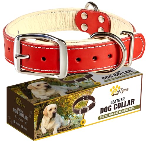 ADITYNA Strapazierfähiges Premium-Leder-Hundehalsband für mittelgroße Hunde – gepolstert mit weichem Echtleder für ein gemütliches Gefühl von ADITYNA