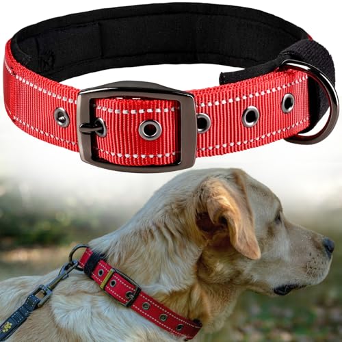 Mittelgroßes Hundehalsband, verstellbar für 38,1 - 50,8 cm Halsumfang – weich, bequem, leicht, strapazierfähig, reflektierendes Design Mittelgroßes Hundehalsband, verstellbar für 38,1 - 50,8 cm Halsumfang – weich, bequem, leicht, strapazierfähig, reflektierendes Design von ADITYNA