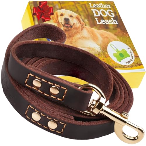 Robuste Hundeleine aus Leder, 1,8 m, starke und weiche Lederleine für große, große und mittelgroße Hunde, Trainingsleine für Hunde, Braun, goldfarben, L, 6 Robuste Hundeleine aus Leder, 1,8 m, starke und weiche Lederleine für große, große und mittelgroße Hunde, Trainingsleine für Hunde, Braun, goldfarben, L, 6 von ADITYNA