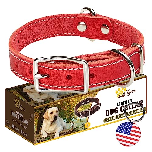 Strapazierfähiges Hundehalsband aus Leder, für kleine Hunde, weich und stark, für Welpen oder kleine Hunde (Größe S: passend für Halsumfang von 25,4 cm – 36,8 cm, Rot) von ADITYNA