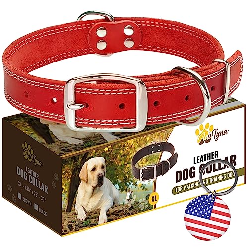 Strapazierfähiges Hundehalsband aus rotem Leder – weiches und starkes Hundehalsband für große Hunde von ADITYNA