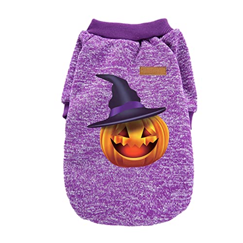 ADMAY Halloween Kostüm Damen Hexenkostüm Teufel Y26K Halloween-Hemden Welpenhemden Haustierkleidung Lustige Halloween-Cosplay-Haustierkostüme Hundemantel Outdoor 2 in 1 (Purple, XXS) von ADMAY