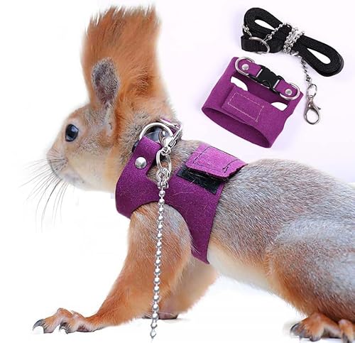 ADNIKIA Eichhörnchen-Traktions-Seilgurt Anti-Biss-Kettenseil, verstellbare Weste, kleines Tier-Gehgeschirr mit Leine, Hamster, Rennmäuse, Ratten, Mäuse, Frettchen, kleine Tiere, Spazierleine ADNIKIA Eichhörnchen-Traktions-Seilgurt Anti-Biss-Kettenseil, verstellbare Weste, kleines Tier-Gehgeschirr mit Leine, Hamster, Rennmäuse, Ratten, Mäuse, Frettchen, kleine Tiere, Spazierleine von ADNIKIA