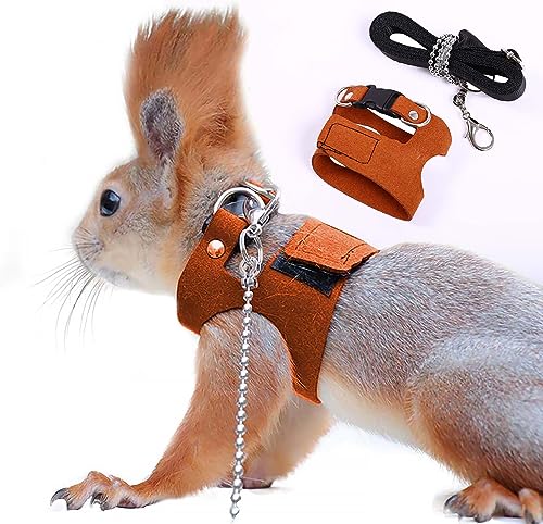 Eichhörnchen-Traktionsseil, Anti-Biss-Kette, verstellbare Weste, Kleintier-Geschirr mit Leine, Hamster, Rennmaus, Ratte, Maus, Frettchen, Chinchilla, Kleintier-Leine Eichhörnchen-Traktionsseil, Anti-Biss-Kette, verstellbare Weste, Kleintier-Geschirr mit Leine, Hamster, Rennmaus, Ratte, Maus, Frettchen, Chinchilla, Kleintier-Leine von ADNIKIA