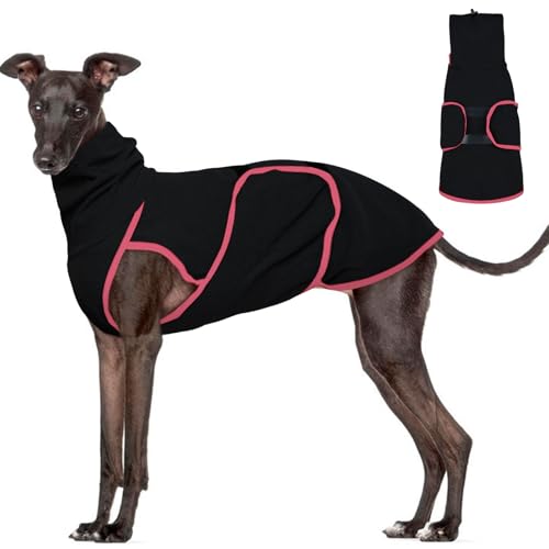 Hunde-Angstjacke, beruhigendes Hemd, Angstlinderung, beruhigende Weste mit Ohrenschützern, Lärmschutz, Winter-Hundemantel, Thundershirt für Hunde, leicht, dehnbar, Rollkragen-T-Shirts Hunde-Angstjacke, beruhigendes Hemd, Angstlinderung, beruhigende Weste mit Ohrenschützern, Lärmschutz, Winter-Hundemantel, Thundershirt für Hunde, leicht, dehnbar, Rollkragen-T-Shirts von ADNIKIA