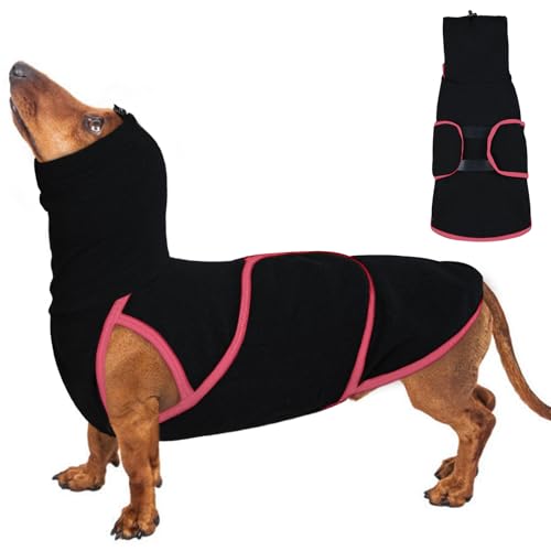 Hunde-Angstjacke, beruhigendes Hemd, Angstlinderung, beruhigende Weste mit Ohrenschützern, Lärmschutz, Wintermantel, leicht, dehnbar, Rollkragen-T-Shirts Hunde-Angstjacke, beruhigendes Hemd, Angstlinderung, beruhigende Weste mit Ohrenschützern, Lärmschutz, Wintermantel, leicht, dehnbar, Rollkragen-T-Shirts von ADNIKIA