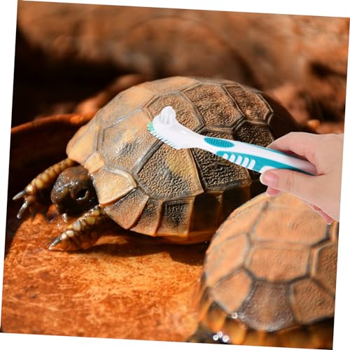 ADOCARN 2 Stück Reinigungsbürsten für Wasserschildkröten und Landschildkröten Doppelseitige Bürste mit Rutschfestem Griff Effektive Entfernung von Schmutz und Algen Multifunktional für von ADOCARN