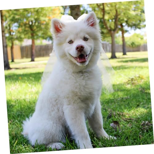 ADOCARN Haustier Schleier mit Schleife Weicher Gauze Brautschleier für Hunde und Katzen Festlicher Haarschmuck für Hochzeiten Geburtstage und Feierlichkeiten Einfach Anzulegen Design von ADOCARN