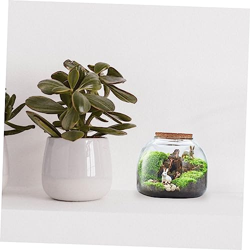 ADOCARN Mikrolandschaft Glasflasche DIY Flaschengarten Terrarium mit Holzstöpsel Dekoratives Pflanzgefäß für Büro und Zuhause Klarer Micro Landscape Container für Kreative von ADOCARN
