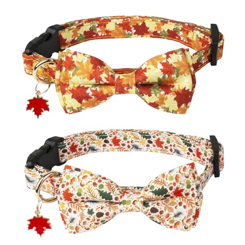 ADOGGYGO Herbst Hundehalsband mit Schleife, verstellbare Thanksgiving Hundehalsbänder mit abnehmbarer Fliege, Herbstblätter, Erntedank-Halsbänder für kleine, mittelgroße und große Hunde, Haustiere ADOGGYGO Herbst Hundehalsband mit Schleife, verstellbare Thanksgiving Hundehalsbänder mit abnehmbarer Fliege, Herbstblätter, Erntedank-Halsbänder für kleine, mittelgroße und große Hunde, Haustiere von ADOGGYGO