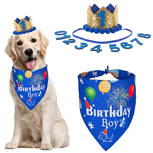 ADOGGYGO Hund Geburtstag Bandana Hut Set Hund Welpe Geburtstag Party Supply Hund Bandana Junge Mädchen Welpen Geburtstag Hut Schal für kleine mittelgroße Hunde Haustier (Marineblau) von ADOGGYGO
