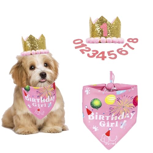 ADOGGYGO Hunde-Bandana-Hut-Set für Geburtstagsparty, Jungen, Mädchen, Welpen, Geburtstags-Schal für kleine Hunde (Größe S, Rosa) von ADOGGYGO