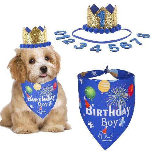 ADOGGYGO Hunde-Bandana-Hut-Set für Geburtstagsparty, Jungen, Mädchen, Welpen, Geburtstags-Schal für kleine Hunde (Größe S, blau) von ADOGGYGO