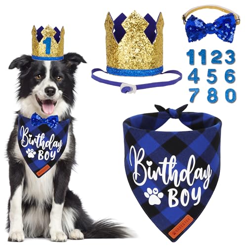 ADOGGYGO Hunde-Geburtstagsparty-Zubehör, Geburtstags-Hundehalstuch, goldener Haustier-Geburtstagshut mit Zahlen, Geburtstags-Hunde-Outfit für mittelgroße und große Hunde (groß) von ADOGGYGO