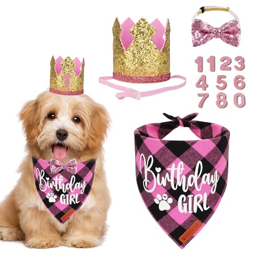 ADOGGYGO Hunde-Geburtstagsparty-Zubehör, Geburtstagsmädchen-Hundehalstuch, goldener Haustier-Geburtstagshut mit Zahlen, Geburtstags-Hunde-Outfit für kleine Hunde (klein) von ADOGGYGO