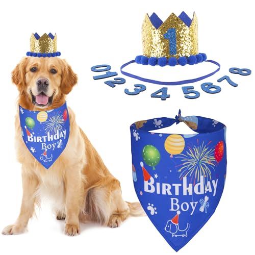 ADOGGYGO Hunde-Halstuch-Mützen-Set für Geburtstagsparty, Jungen, Mädchen, Haustier-Geburtstags-Schal für große und extra große Hunde (Größe XL, Blau) von ADOGGYGO