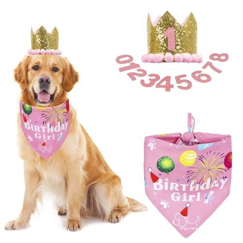 ADOGGYGO Hunde-Halstuch-Mützen-Set für Geburtstagsparty, Jungen, Mädchen, Haustier-Geburtstags-Schal für große und extra große Hunde (Größe XL, Rosa) von ADOGGYGO