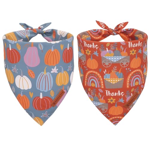 ADOGGYGO Hundehalstuch für Thanksgiving, Blau / Orange, Kürbismotiv, verstellbare Passform, Herbsthalstücher für kleine Hunde und Haustiere (Größe S) von ADOGGYGO