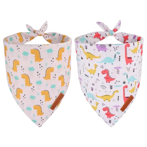 ADOGGYGO Hundehalstücher mit Dinosaurier-Motiv, buntes Dino-Muster, hochwertiger weicher Stoff, verstellbare Passform, Dinosaurier-Halstücher für kleine Hunde (Größe S) von ADOGGYGO