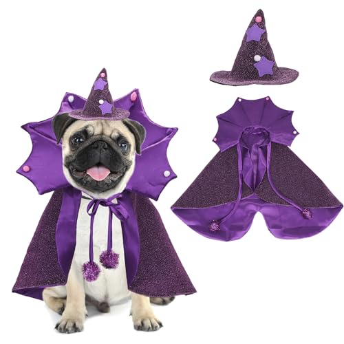 ADOGGYGO Zauberer-Kostüm, Halloween-Umhang, Hut-Set für kleine, mittelgroße Hunde (Größe M, Violett) von ADOGGYGO