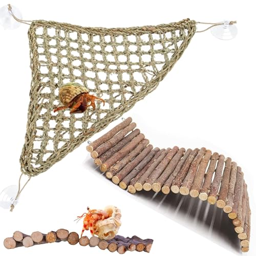 Adullpony Bartagamen-Tank-Zubehör-Set: Reptilien-Lebensraum-Dekor mit Kletterhängematte, Spielzeug, Naturholzversteck für Einsiedlerkrebse, Eidechse, Leopardengecko, Schopfen, Schildkröte, Schlange Adullpony Bartagamen-Tank-Zubehör-Set: Reptilien-Lebensraum-Dekor mit Kletterhängematte, Spielzeug, Naturholzversteck für Einsiedlerkrebse, Eidechse, Leopardengecko, Schopfen, Schildkröte, Schlange von ADULLPONY