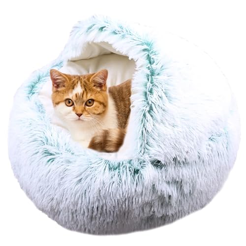Donut Katzenbett, rundes Höhlen-Schlafbett, Plüsch-Kätzchenbett, warmes Haustierkissen, Sofa mit rutschfester Unterseite, Indoor-Katzennest, Zelt für Kätzchen und Welpen (Durchmesser: 60 cm, Grün) Donut Katzenbett, rundes Höhlen-Schlafbett, Plüsch-Kätzchenbett, warmes Haustierkissen, Sofa mit rutschfester Unterseite, Indoor-Katzennest, Zelt für Kätzchen und Welpen (Durchmesser: 60 cm, Grün) von ADUODAO
