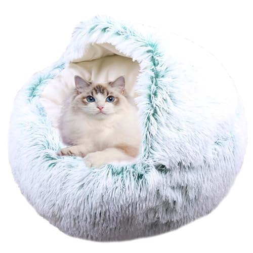 Plüsch-Donut-Katzen-Haus, rutschfestes, rundes Katzennest für Kätzchen, Welpen, Donut-Haustierzelt, Kissen mit Kapuze, Anti-Angst, Kätzchenbett, winddicht, 60 x 60 x 20 cm, Grün Plüsch-Donut-Katzen-Haus, rutschfestes, rundes Katzennest für Kätzchen, Welpen, Donut-Haustierzelt, Kissen mit Kapuze, Anti-Angst, Kätzchenbett, winddicht, 60 x 60 x 20 cm, Grün von ADUODAO