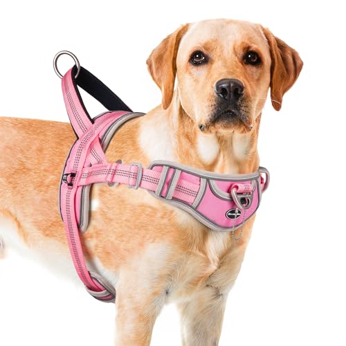 ADVENTUREMORE Hundegeschirr, mittelgroß, kein Ziehen, Hundehalfter, verstellbar, reflektierend, ausbruchsicher, Hundegeschirr mit einfacher Kontrolle an der Vorderseite, Clip-Griff für Training, von ADVENTUREMORE