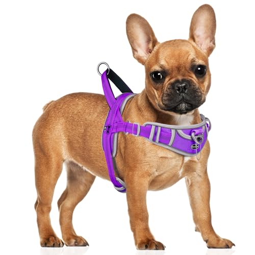ADVENTUREMORE Hundegeschirr für kleine Hunde, kein Ziehen, reflektierende Hundeweste mit Frontclip, Griff für Training und Spazierengehen, Violett ADVENTUREMORE Hundegeschirr für kleine Hunde, kein Ziehen, reflektierende Hundeweste mit Frontclip, Griff für Training und Spazierengehen, Violett von ADVENTUREMORE