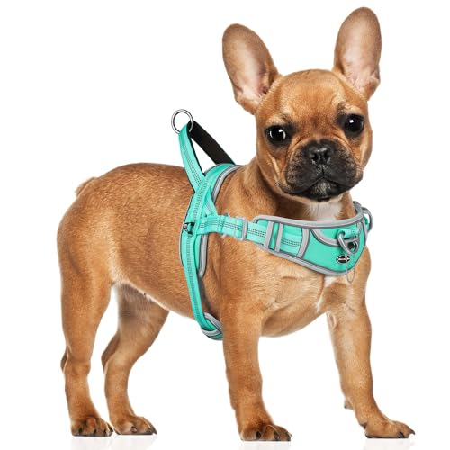 ADVENTUREMORE Hundegeschirr für kleine Hunde, reflektierend, ausbruchsicher, mit Frontclip, für Training und Spazierengehen, Blaugrün ADVENTUREMORE Hundegeschirr für kleine Hunde, reflektierend, ausbruchsicher, mit Frontclip, für Training und Spazierengehen, Blaugrün von ADVENTUREMORE