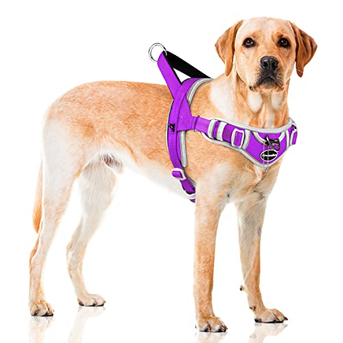 ADVENTUREMORE Hundegeschirr für mittelgroße Hunde Kein Ziehen, Sport Hund Halfter Geschirr Verstellbar Reflektierende Hundeweste Ausbruchsicher Hundegeschirr mit Einfache Kontrolle Front Clip Griff von ADVENTUREMORE