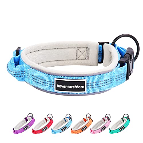 ADVENTUREMORE Hundehalsband M Blau von ADVENTUREMORE