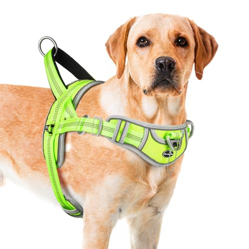 ADVENTUREMORE No Pull Large Dog Harness, Sport Dog Halfter Harness Reflective Breathable Dog Vest Escape Proof Dog Harness with Easy Control Front Clip Handle for Training Walking XL Green von ADVENTUREMORE