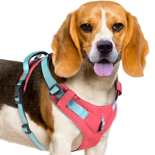 AdventureMore Leichtes Hundegeschirr mit QR-Code, Hundemarke, atmungsaktiv, ausbruchsicher, für Welpen, kleine, mittelgroße Hunde und Katzen, einfach anzulegen und zu kontrollieren, für Training, AdventureMore Leichtes Hundegeschirr mit QR-Code, Hundemarke, atmungsaktiv, ausbruchsicher, für Welpen, kleine, mittelgroße Hunde und Katzen, einfach anzulegen und zu kontrollieren, für Training, von ADVENTUREMORE
