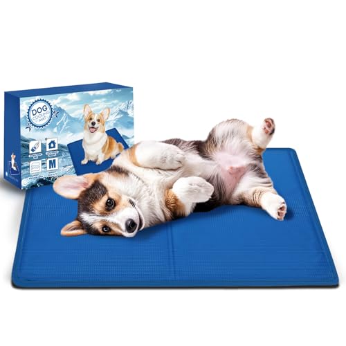 AECCN Kühlmatte Hund 65x50CM - Langlebige Kratzfeste Oberfläche, Sicher Nicht-Giftiges Gel, Sofortige Selbstkühlende Matte für Hunde Katze, Haustierkühlmatte for Kisten, Sofa, Outdoor【M】 AECCN Kühlmatte Hund 65x50CM - Langlebige Kratzfeste Oberfläche, Sicher Nicht-Giftiges Gel, Sofortige Selbstkühlende Matte für Hunde Katze, Haustierkühlmatte for Kisten, Sofa, Outdoor【M】 von AECCN