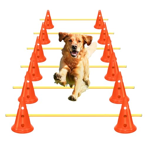 AEDNX Agility-Hürden-Kegel-Set für Hunde, Agility-Kurs, Hinterhof-Set mit 12 Agility-Kegeln, 6 Agility-Ruten, Agility-Trainingsausrüstung, höhenverstellbares Hindernis mit Aufbewahrungstasche, Orange AEDNX Agility-Hürden-Kegel-Set für Hunde, Agility-Kurs, Hinterhof-Set mit 12 Agility-Kegeln, 6 Agility-Ruten, Agility-Trainingsausrüstung, höhenverstellbares Hindernis mit Aufbewahrungstasche, Orange von AEDNX