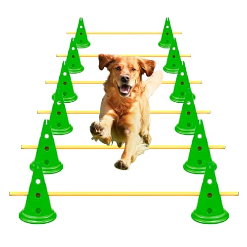 AEDNX Agility-Hürden-Kegel-Set für Hunde, Agility-Kurs, Hinterhof-Set mit 12 Agility-Kegeln, 6 Agility-Ruten, Agility-Trainingsausrüstung, höhenverstellbares Hindernis mit Aufbewahrungstasche, Grün von AEDNX