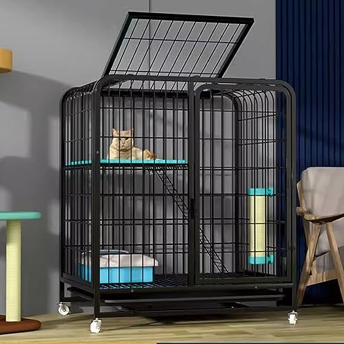 AEGCAOJH Katzenkäfig Großer Innenraum Heim Katzenkäfig aus Metall Verbreiterte Plattform Käfig für Frettchen Meerschweinchen Hundekäfig Katzenzaun Mit Tablett Abnehmbarer Katzenzaun Für EIN AEGCAOJH Katzenkäfig Großer Innenraum Heim Katzenkäfig aus Metall Verbreiterte Plattform Käfig für Frettchen Meerschweinchen Hundekäfig Katzenzaun Mit Tablett Abnehmbarer Katzenzaun Für EIN von AEGCAOJH